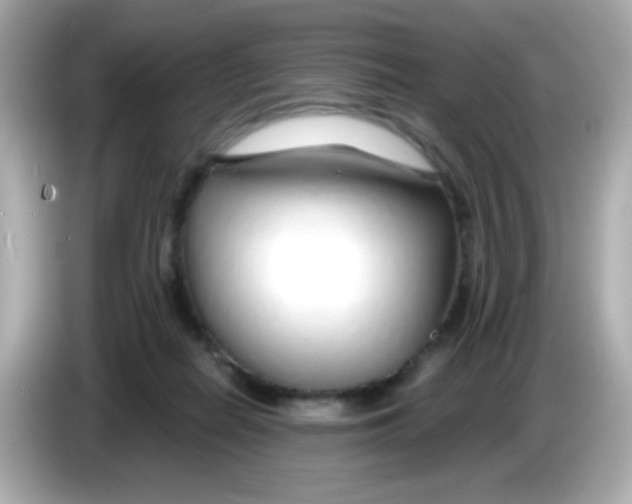 X0000085790266200704091436