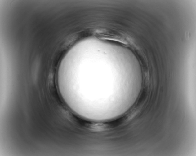 X0000085790269200704091436