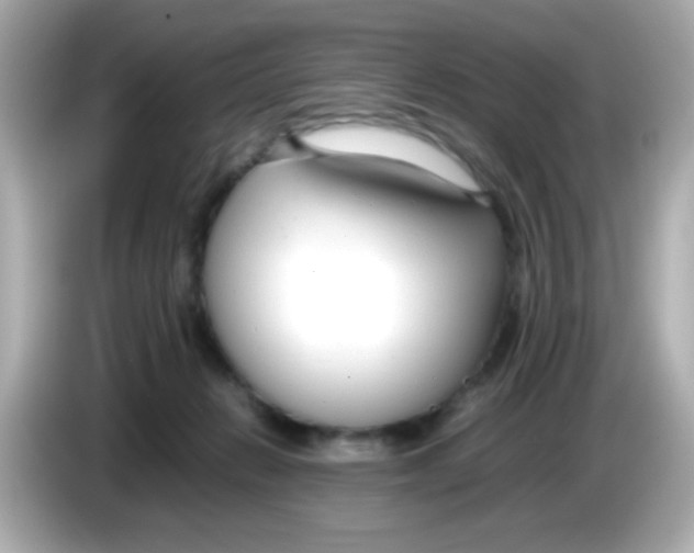 X0000085790270200704091436