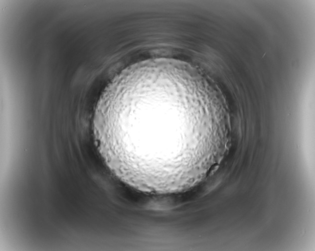 X0000085790271200704091436