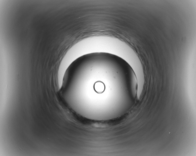 X0000085790272200704091436