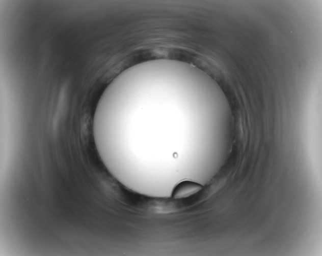X0000085790275200704091436