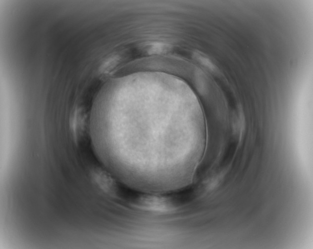 X0000085790276200704091436