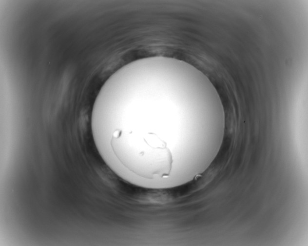 X0000085790279200704091436