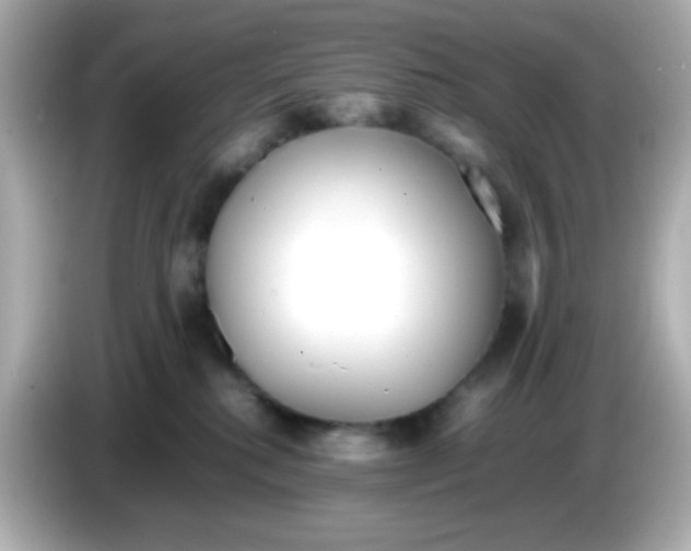 X0000085790280200704091436