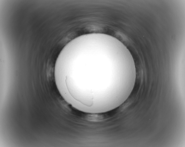 X0000085790281200704091436