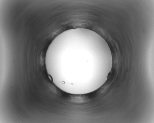 X0000085790282200704091436