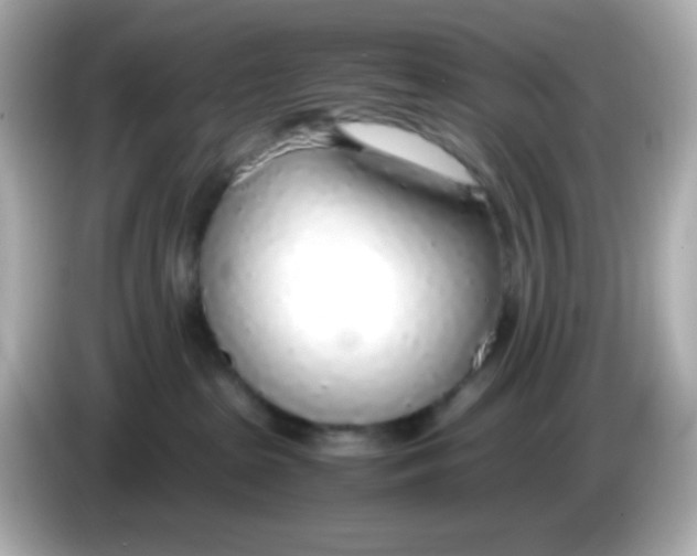 X0000085790285200704091436