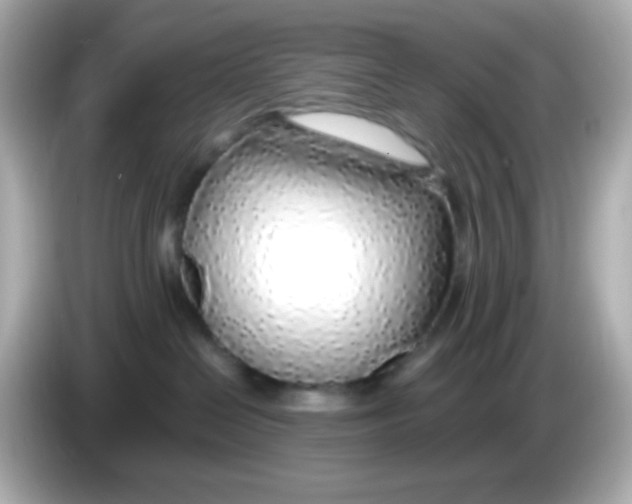 X0000085790286200704091436