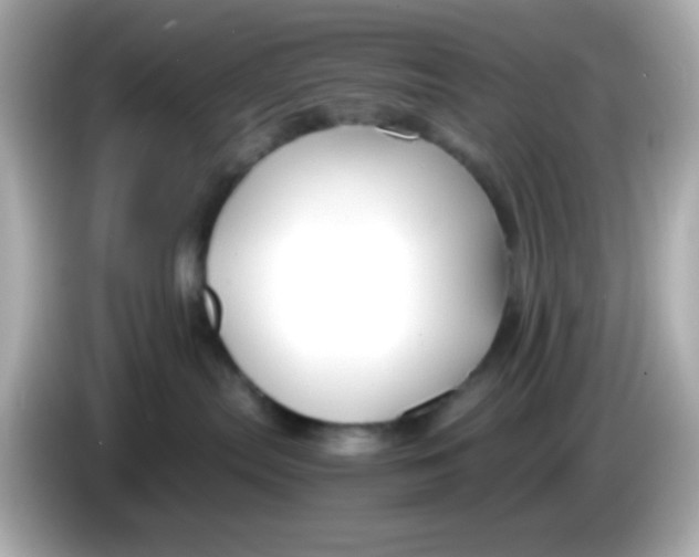 X0000085790287200704091436