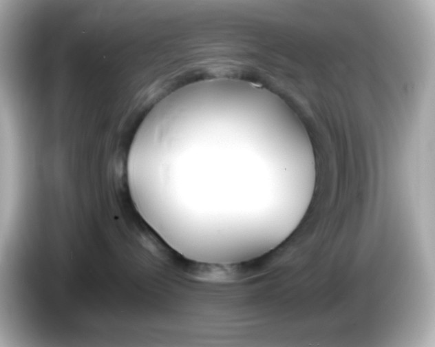 X0000085790288200704091436