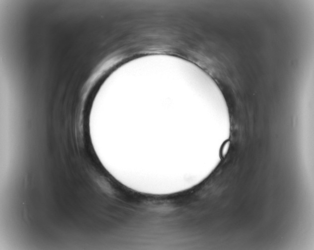 X0000085790296200704091435
