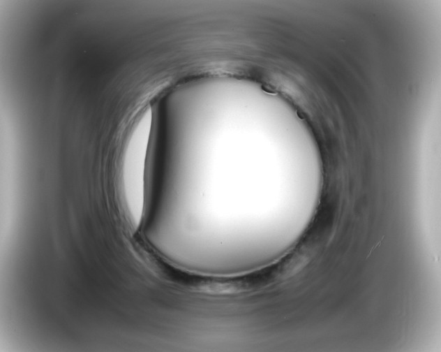 X0000085790299200704091435