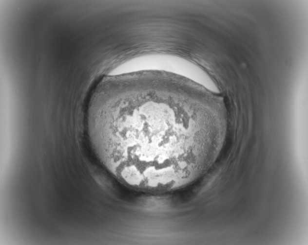 X0000085790303200704091435