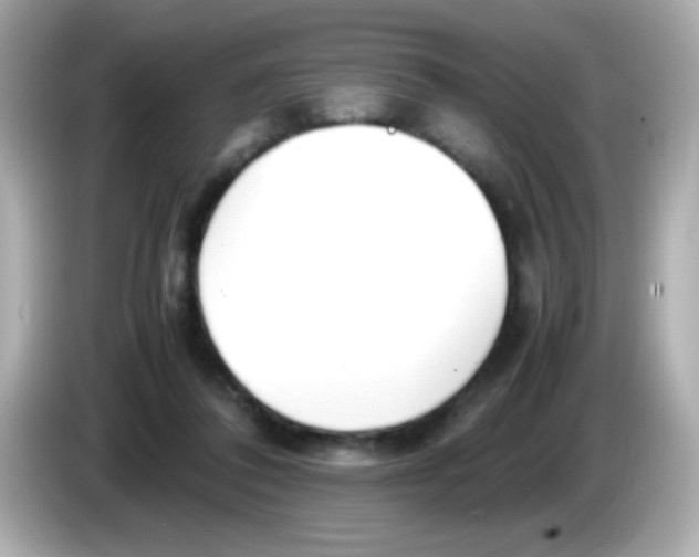 X0000085790308200704091435