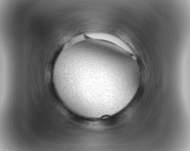X0000085790309200704091435