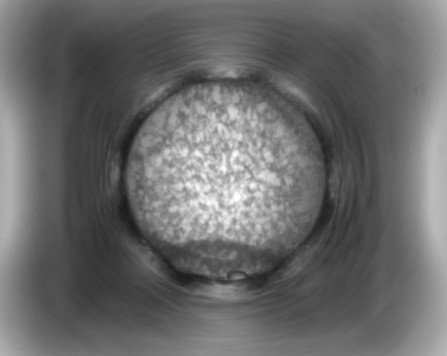 X0000085790314200704091435