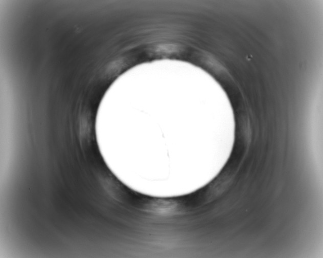 X0000085790328200704091435
