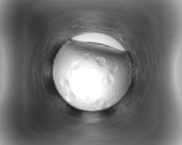 X0000085790331200704091435