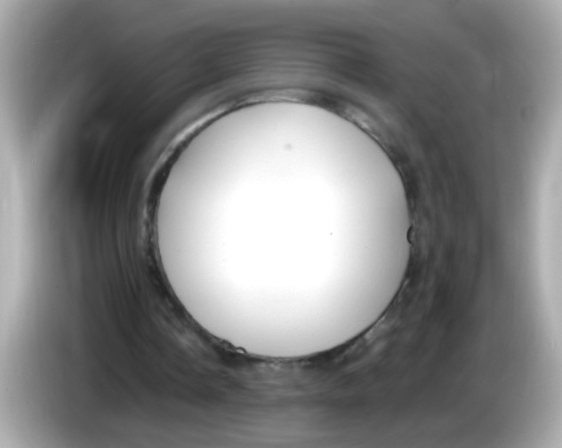 X0000085790338200704091434