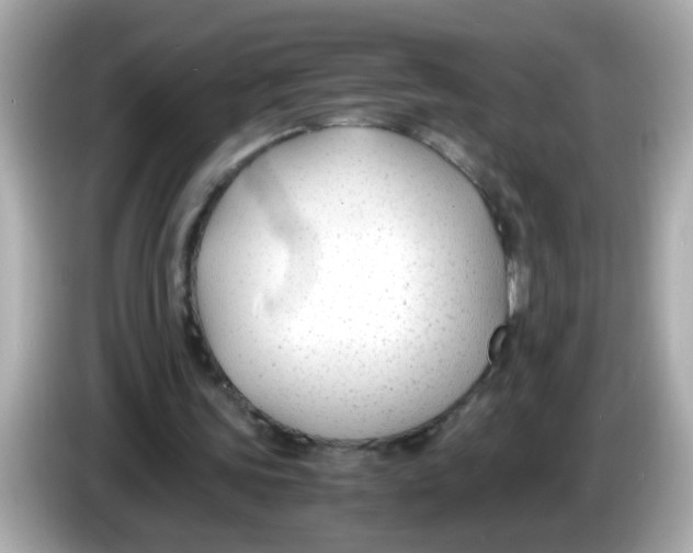 X0000085790339200704091434