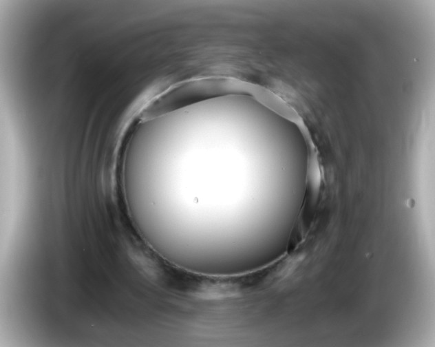 X0000085790340200704091434