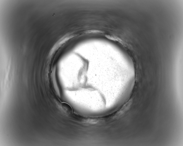 X0000085790341200704091434