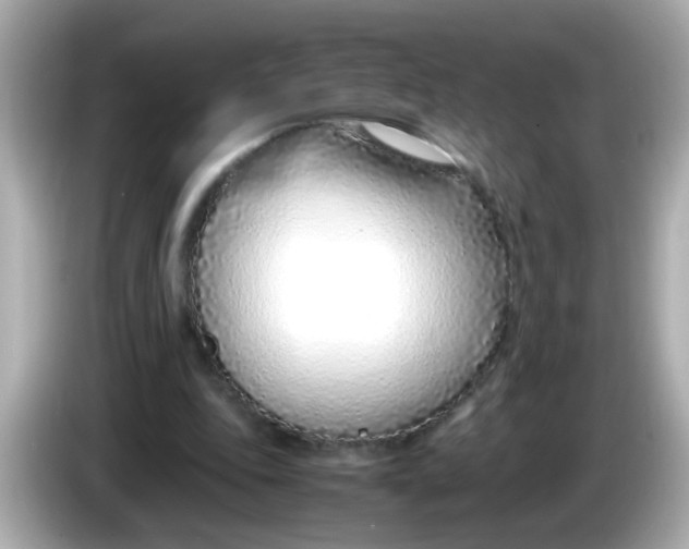 X0000085790343200704091434