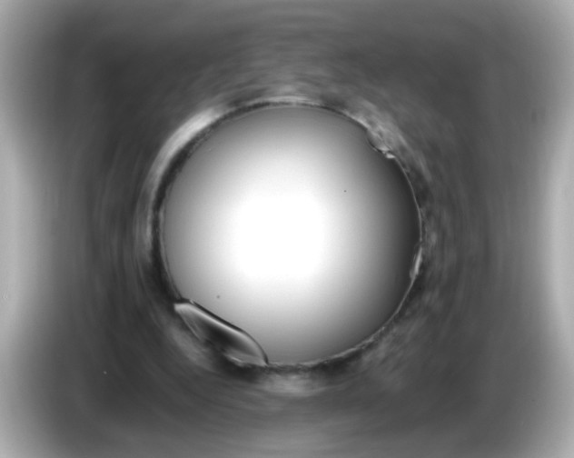 X0000085790344200704091434