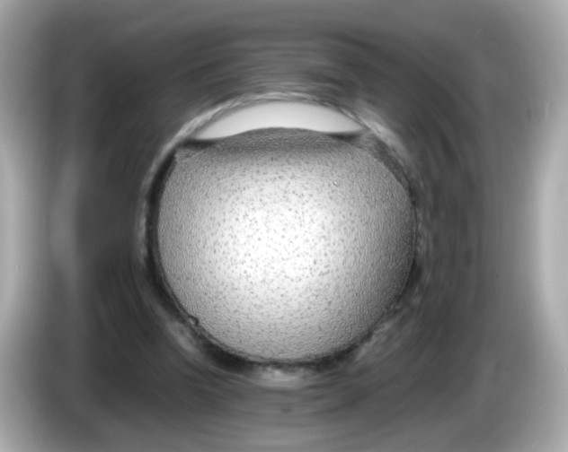 X0000085790346200704091434