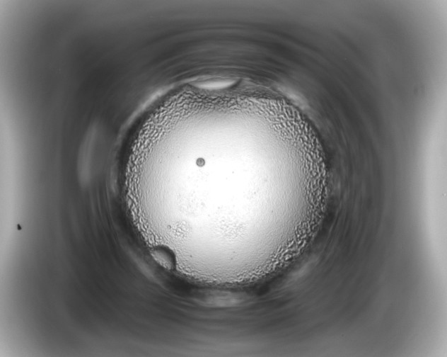 X0000085790347200704091434
