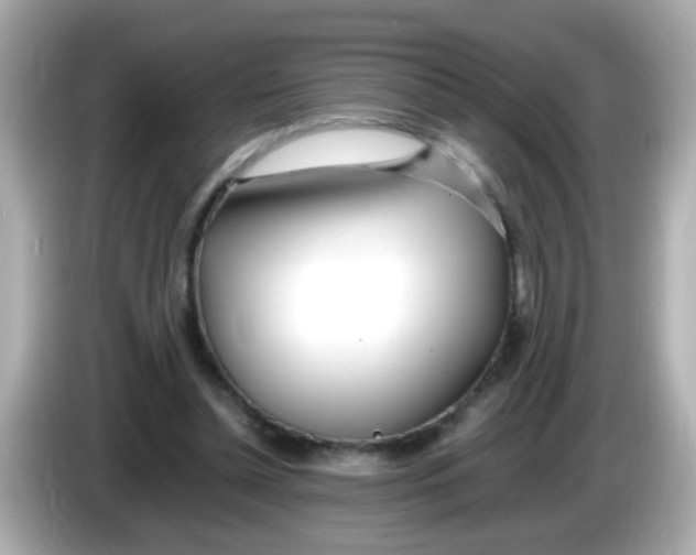 X0000085790348200704091434