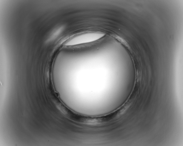 X0000085790349200704091434