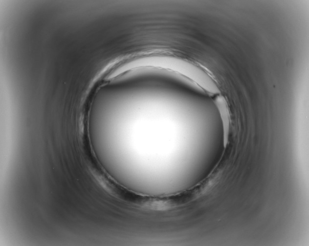 X0000085790350200704091434