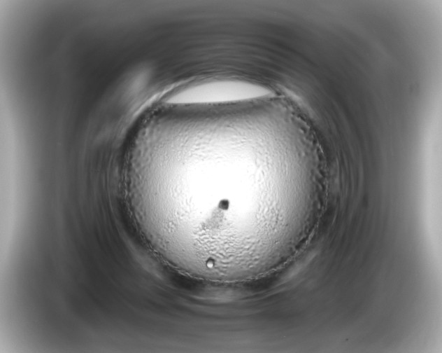 X0000085790351200704091434