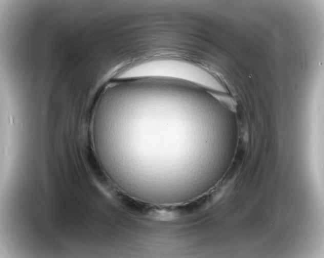 X0000085790352200704091434