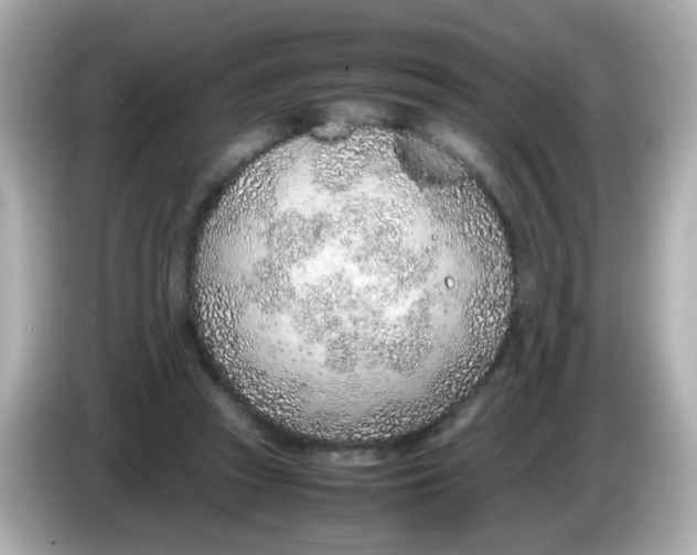 X0000085790353200704091434