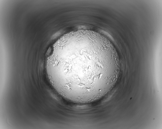 X0000085790357200704091434