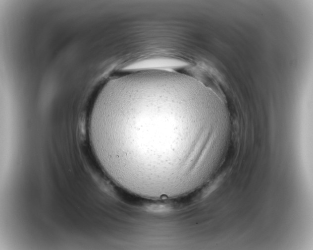 X0000085790358200704091434