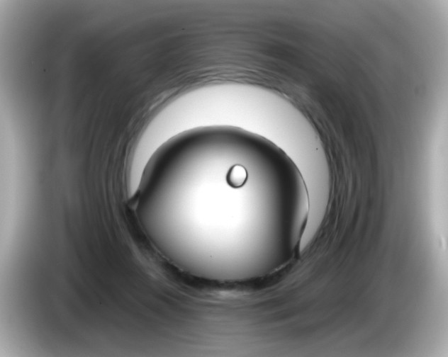 X0000085790360200704091435