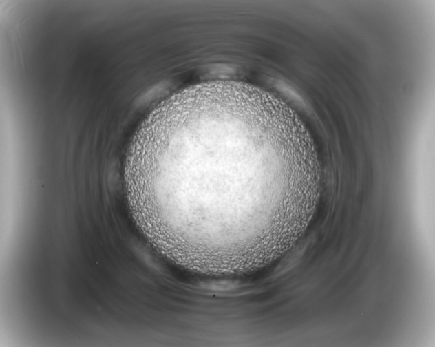 X0000085790361200704091435