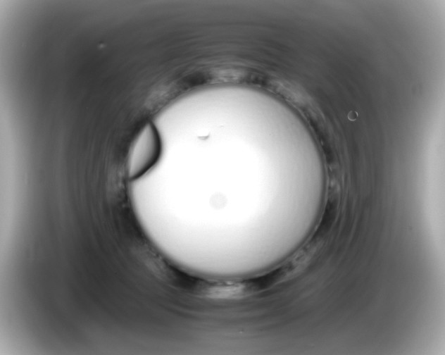 X0000085790369200704091435