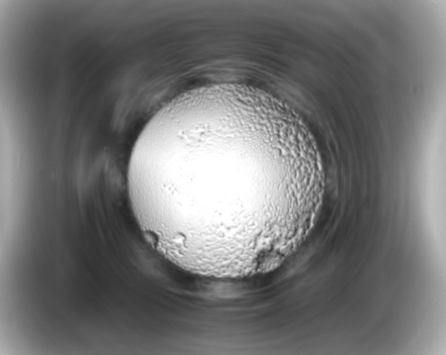 X0000085790371200704091435