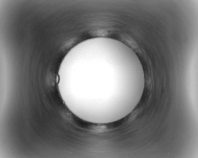 X0000085790374200704091435