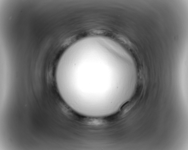 X0000085790377200704091435