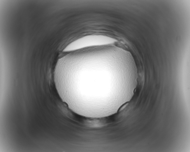 X0000085790381200704091435
