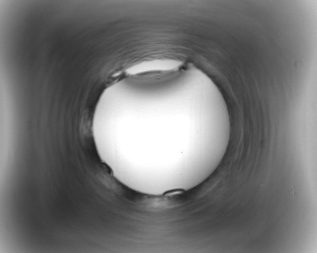 X0000085790384200704091435