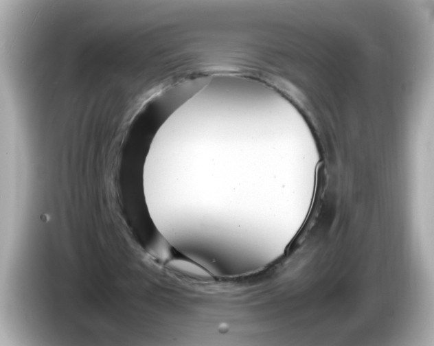 X0000085790385200704091434