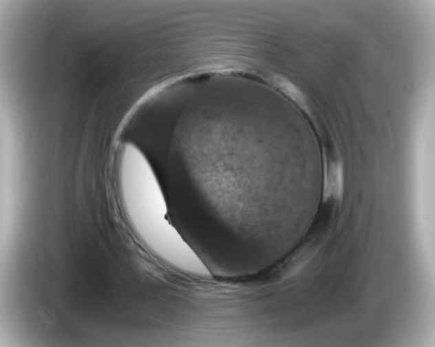 X0000085790387200704091434