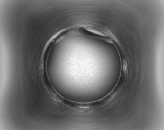 X0000085790388200704091434